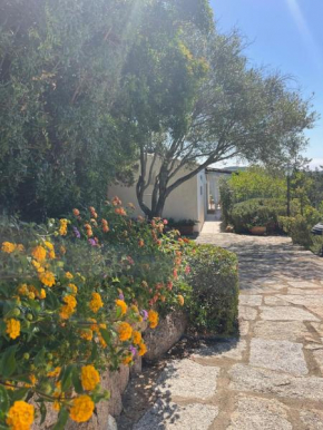 NEW Casa Singola Costa Smeralda-Porto Cervo-Pevero Porto Cervo